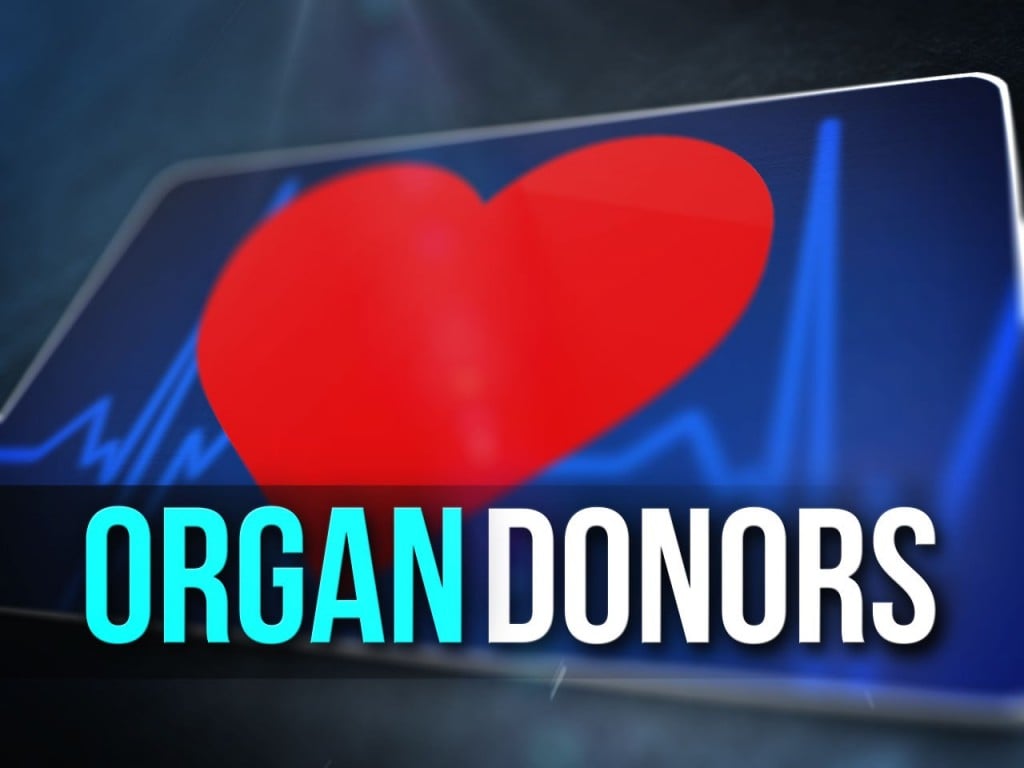 Organ Donors