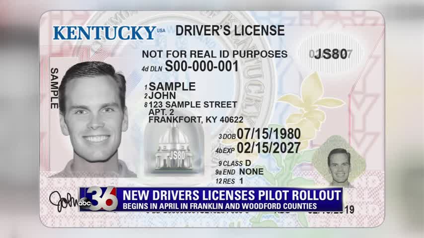 kentucky drivers license check