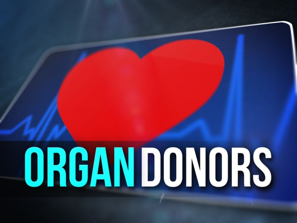 Organ Donors