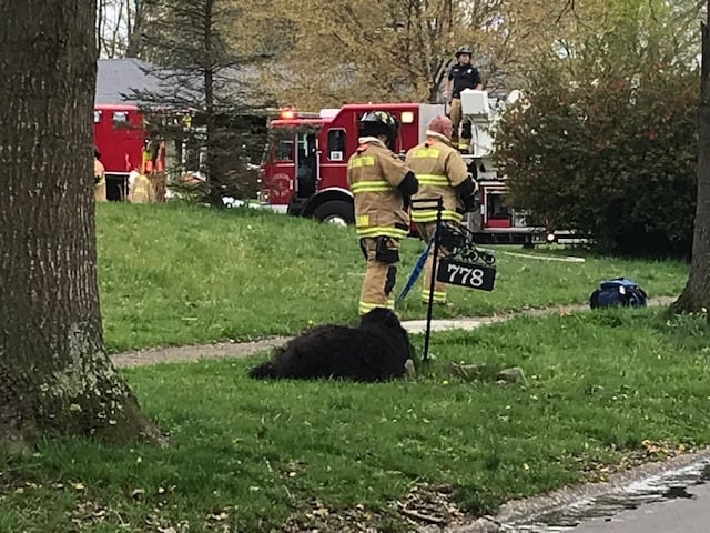 Two people and a dog escape house fire on Rebecca Drive in Lexington.