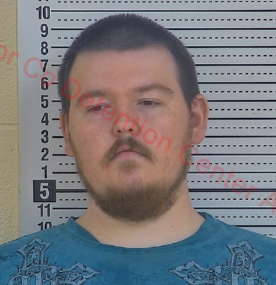 Taylor County man arrested on child pornography charges.