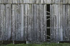 Barnwood Thieves