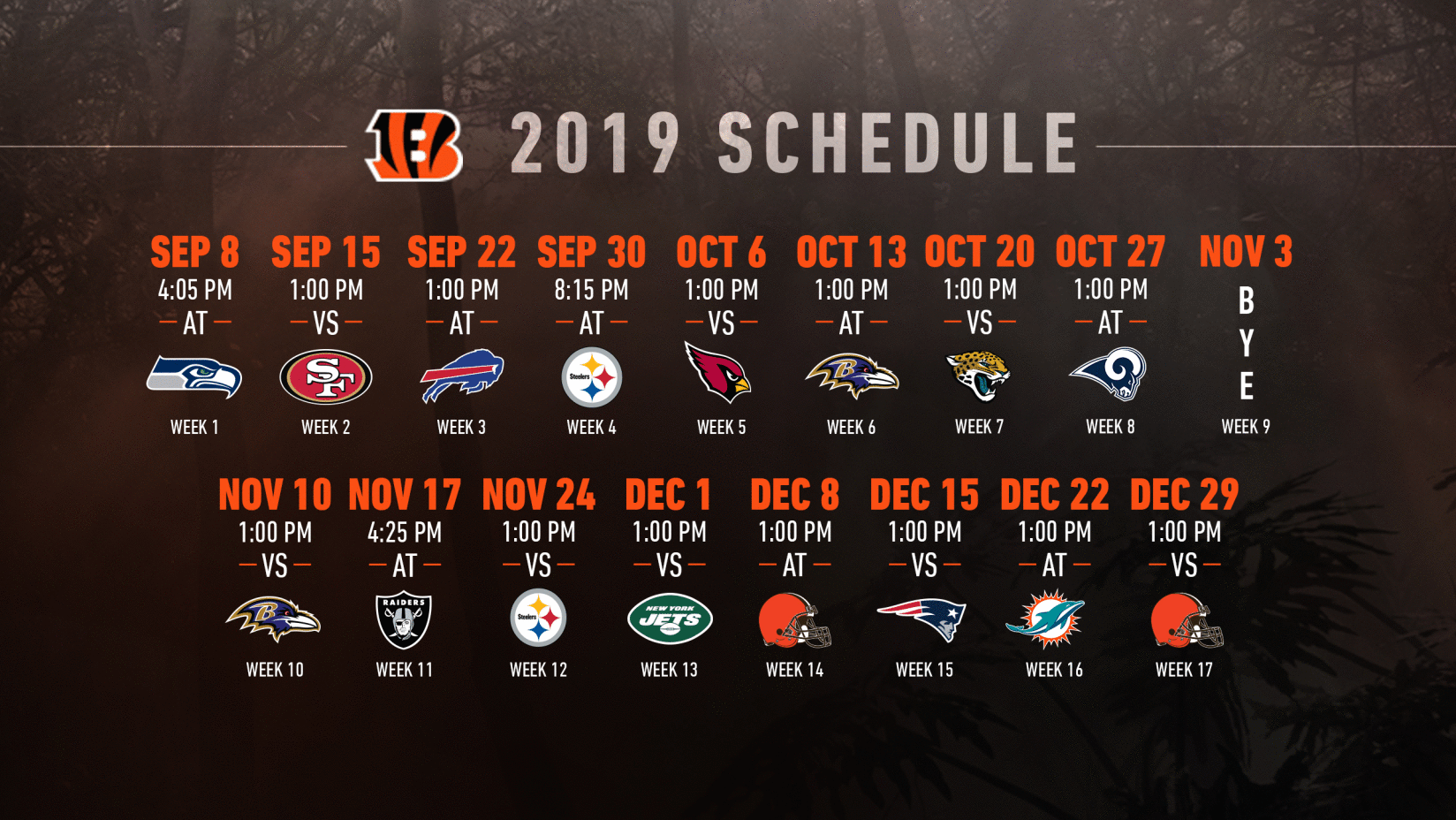 Bengals' 2019 Schedule Announced - ABC 36 News