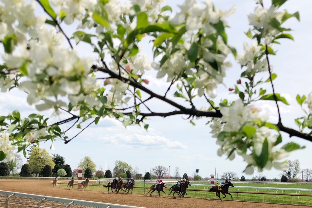 Keeneland Spring Meet 2019