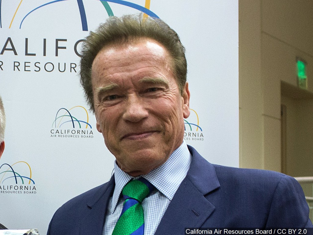 Arnold Schwarzenegger - Austrian-American actor