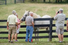 Admission prices going up at thoroughbred retirement farm