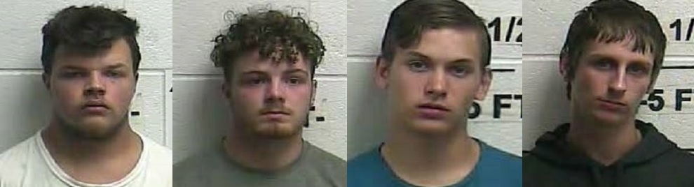 Four teenagers accused of raping a woman in a Williamsburg hotel room and videotaping it.