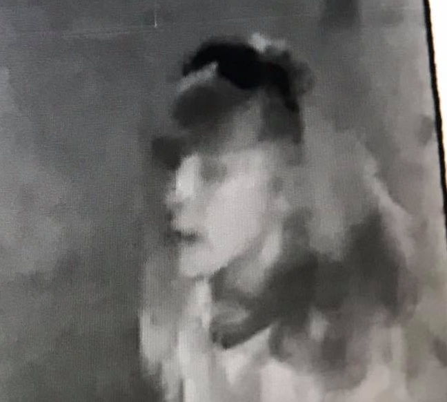 Woman suspected of burglarizing the concession stand at  in Easy Walker Park in Montgomery County.