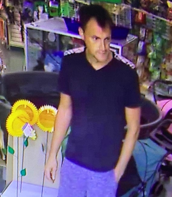 Suspect accused of stealing a baby lovebird from Most Valuable Pets