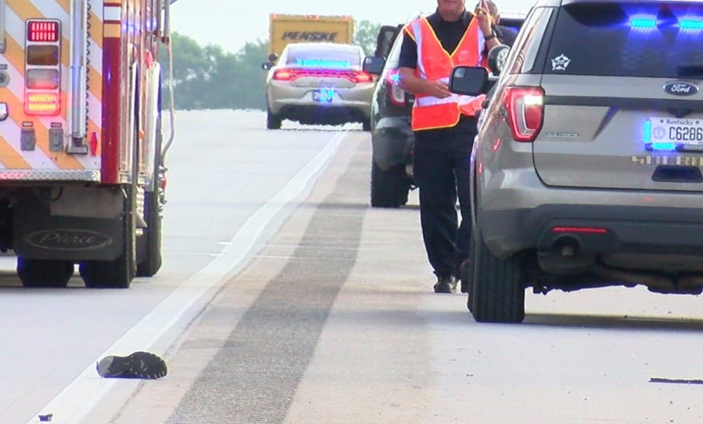 Man was hit by a vehicle and killed along 175 in Scott County.