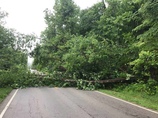 KY 8 in Bracken County closed on 6-19-19 by a weather-related slide brought on by persistent rain