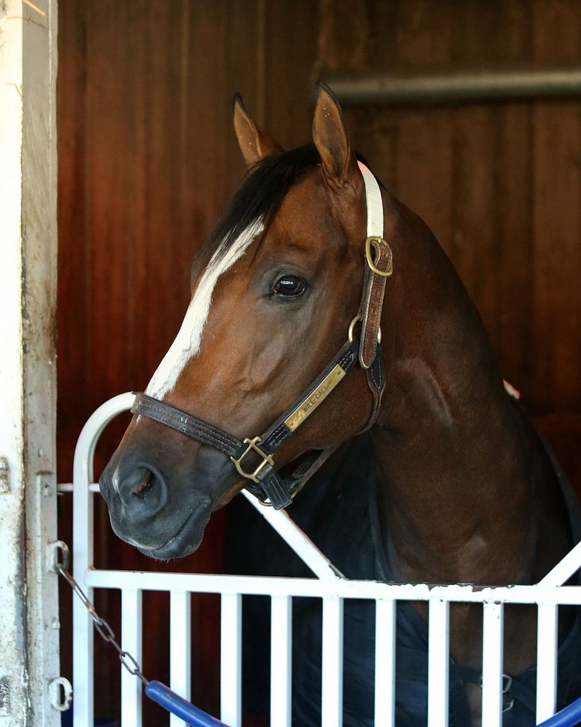 Pic from BloodHorse