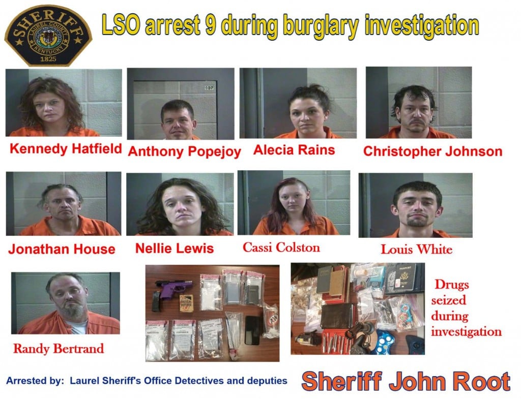 nine Laurel Co. burglary arrests
