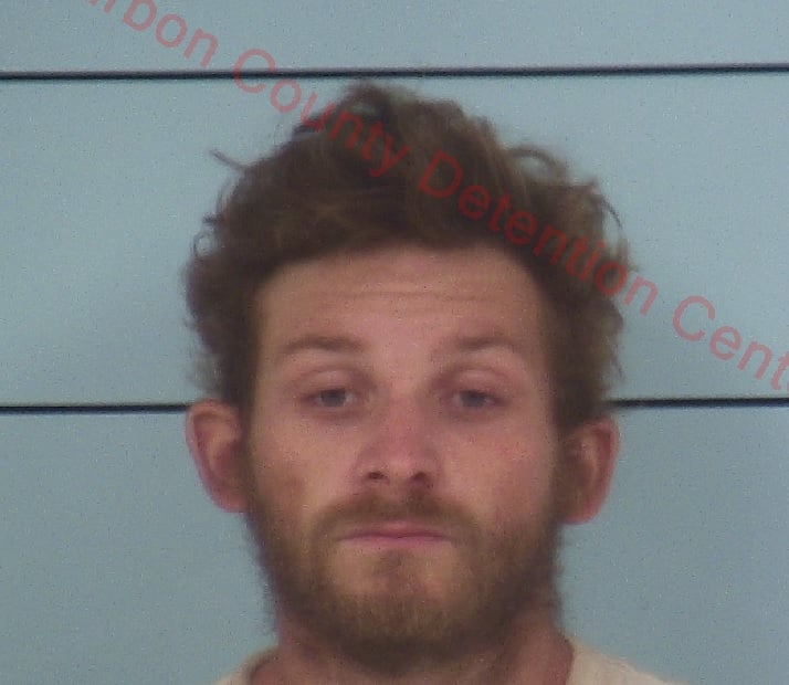 Nicholas County man accused of burning down his mother's house with her pets inside.