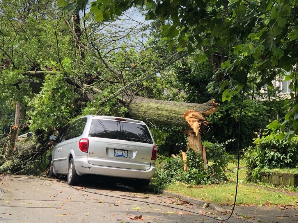 Tree that came down during storm lands on cars and power lines on Whitney Avenue