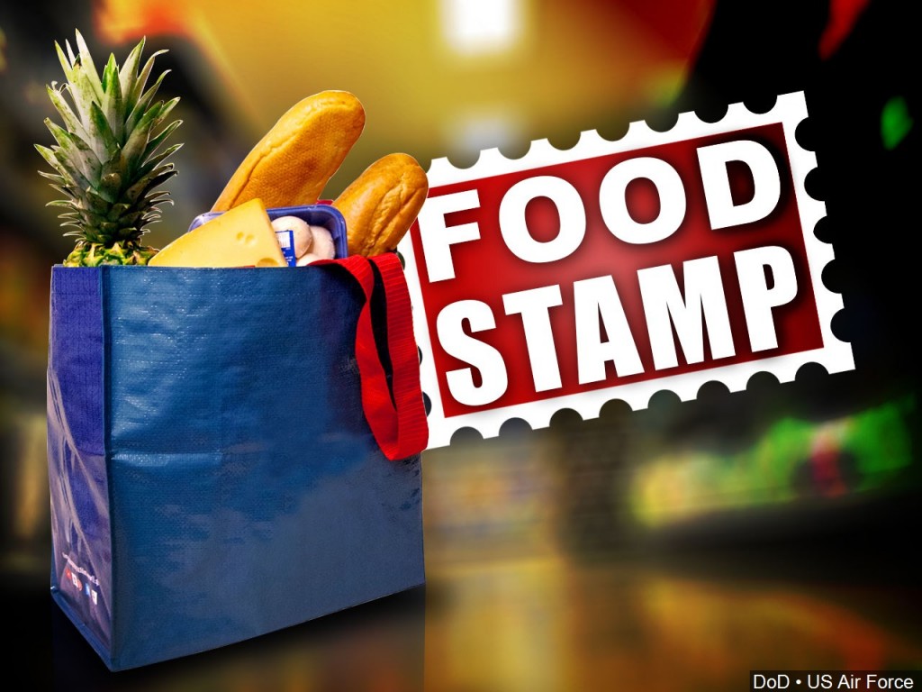 Food stamp program