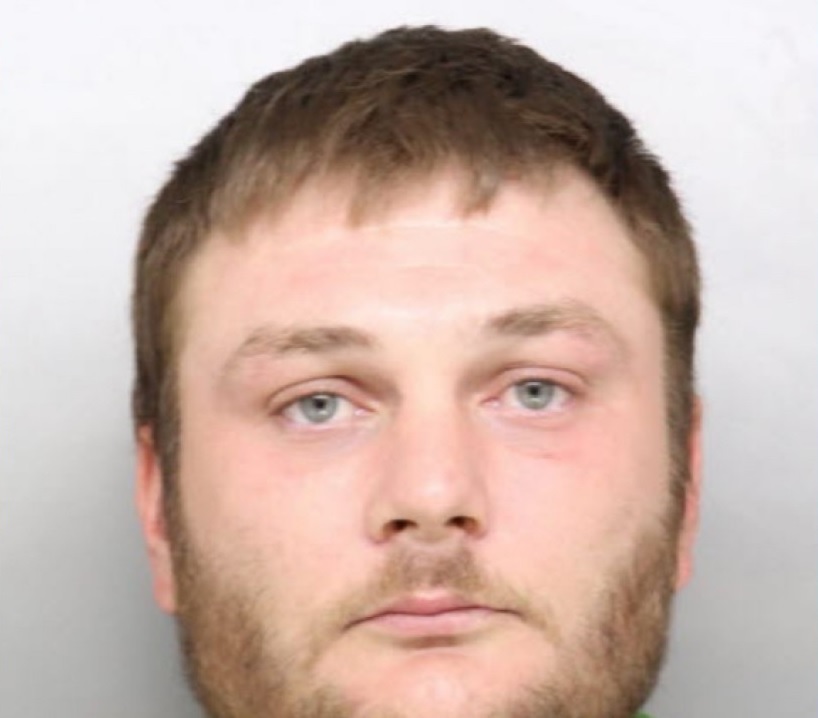 Georgetown man accused of punching a Trump supporter at a rally in Ohio.