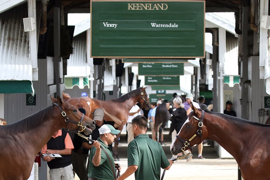 Keeneland September Yearling Sale 2018 outside at barn