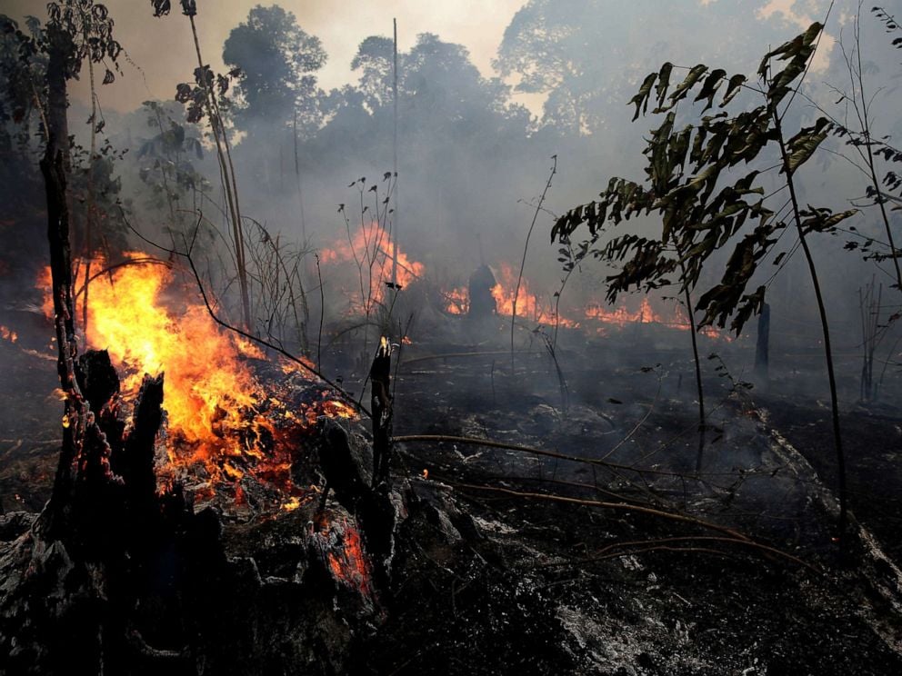 PHOTO: A fire burns trees and brush along the road to Jacunda National Forest, near the city of Porto Velho in the Vila Nova Samuel region which is part of Brazils Amazon, Monday, Aug. 26, 2019.
