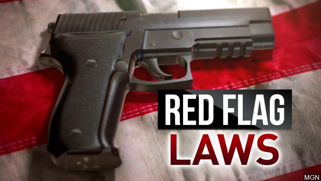 Red Flag Laws generic graphic