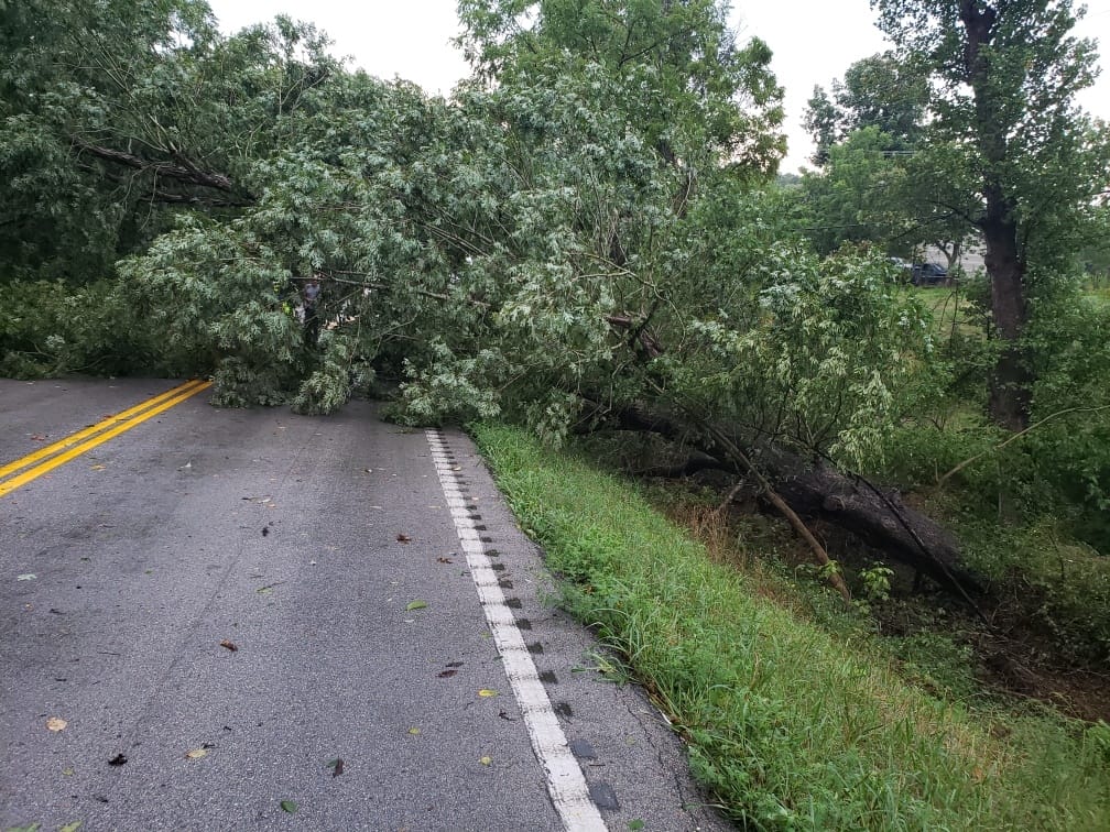 Storms knocked down large tree