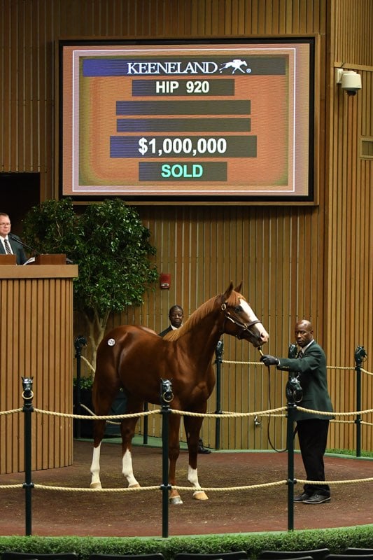 A 'Union Rags' colt sold for $1 million to top the day's sale at Keeneland's September Yearling Sale 9-13-19