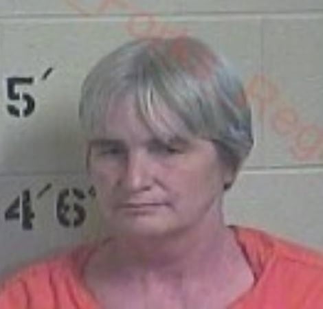 Former Wolfe County Schools teacher's aide charged with child abuse