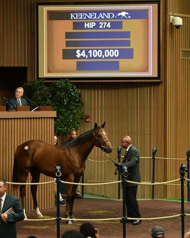 Curlin colt sells for $4.1 million to top day two of Keeneland's September Yearling Sale on 9-10-19.  Highest price paid for a yearling at public auction in the world so far in 2019...bought by Godolphin
