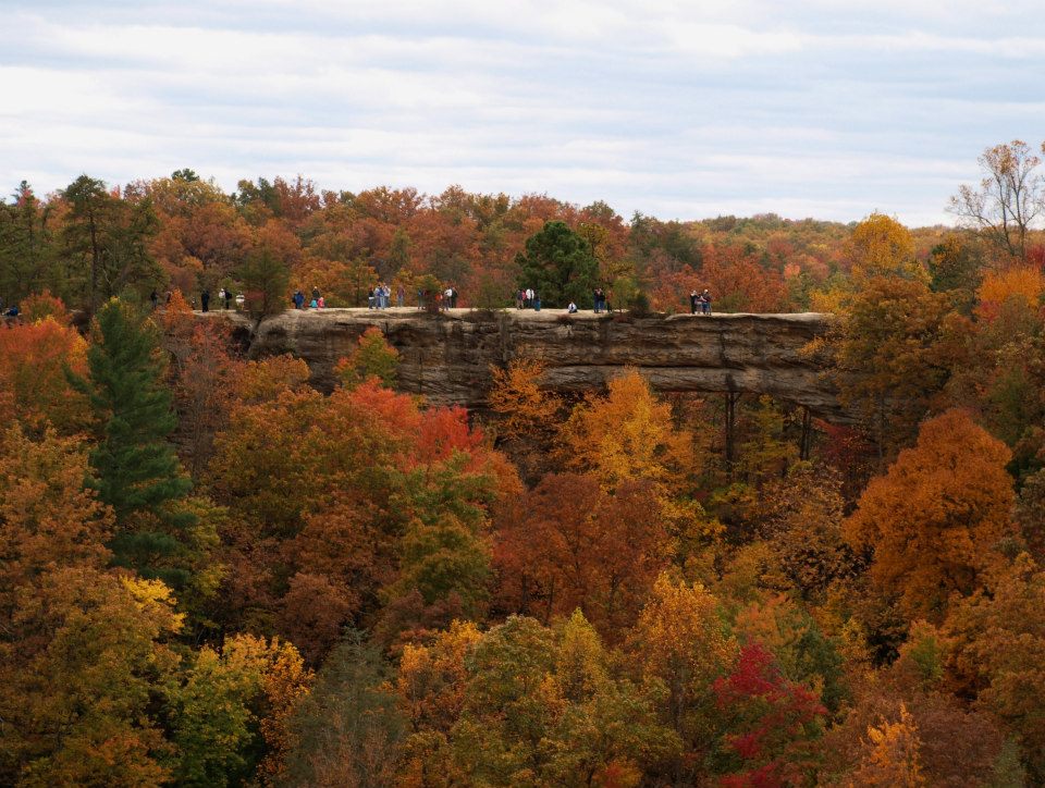 Natural Bridge State Resort Park Receives 1 3 Million In Upgrades Abc 36 News