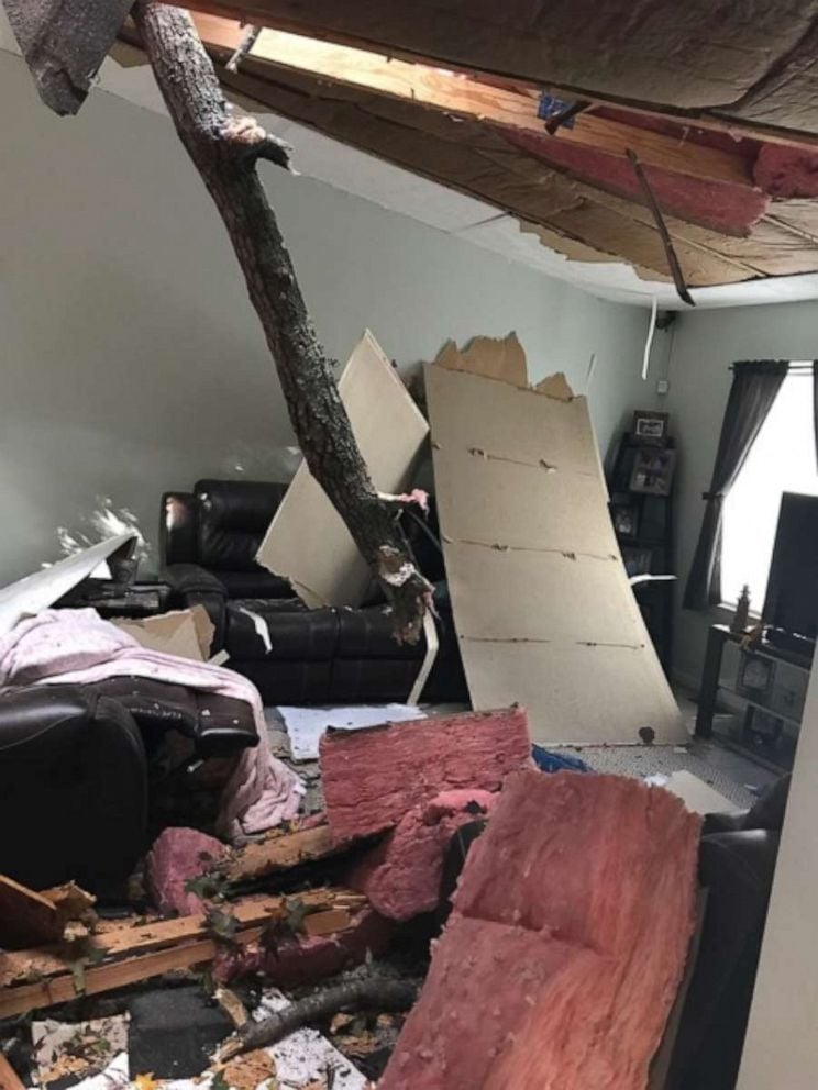 Maryland house tree collapse