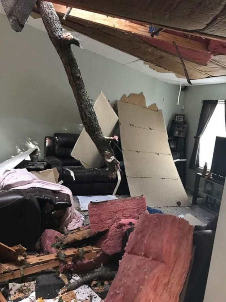 PHOTO: A Maryland family were startled when a tree crashed through the roof of their home.