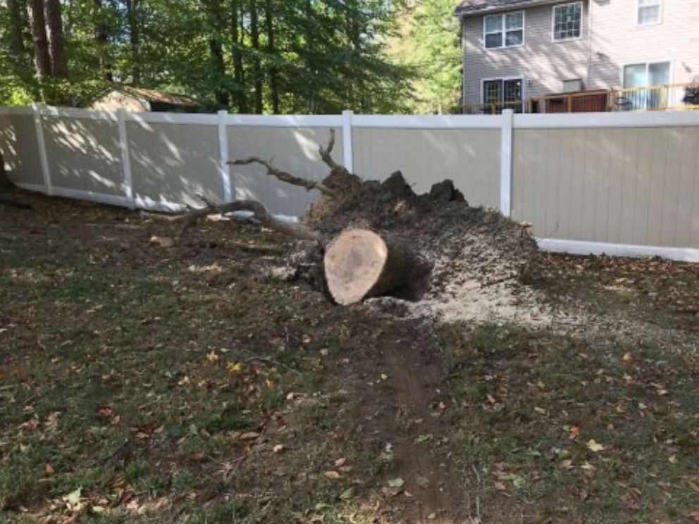 PHOTO: Remains of the tree that crashed through a familys home in Maryland.