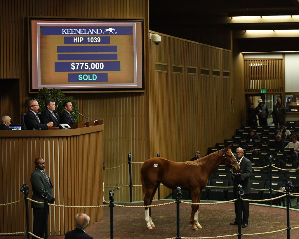 Weanling filly by Curlin tops day two of the annual Keeneland November Breeding Stock Sale 11-8-19