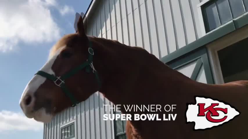 super bowl horse prediction