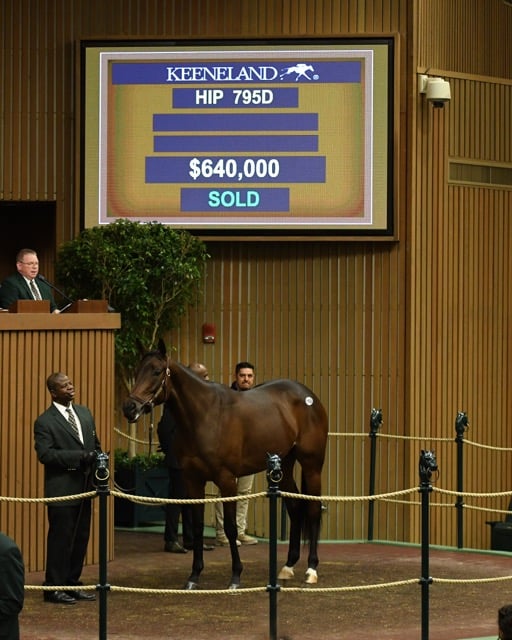 'Enaya Alrabb' tops second day of January Horses of All Ages Sale at Keeneland 1-14-20