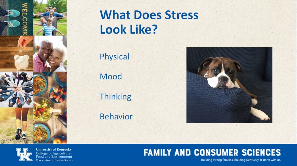Source: Dr. Kerri Ashurst