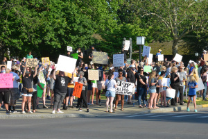 Protest in downtown Danville 6-2-20.  Photo courtesy:  Advocate-Messenger
