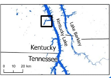 Area of Kentucky Lake where scientists are using nets to trap invasive silver carp.