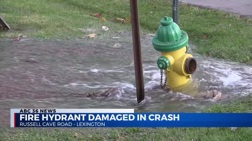 An SUV hit a utility pole and fire hydrant on Russell Cave Road in Lexington on 11-17-20.  The water from the hydrant flooded a home's yard and threatened its basement
