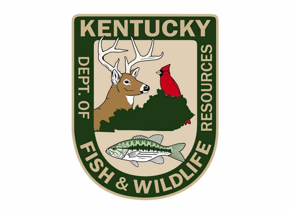 KY Fish and Wildlife celebrates 25th anniversary of elk restoration