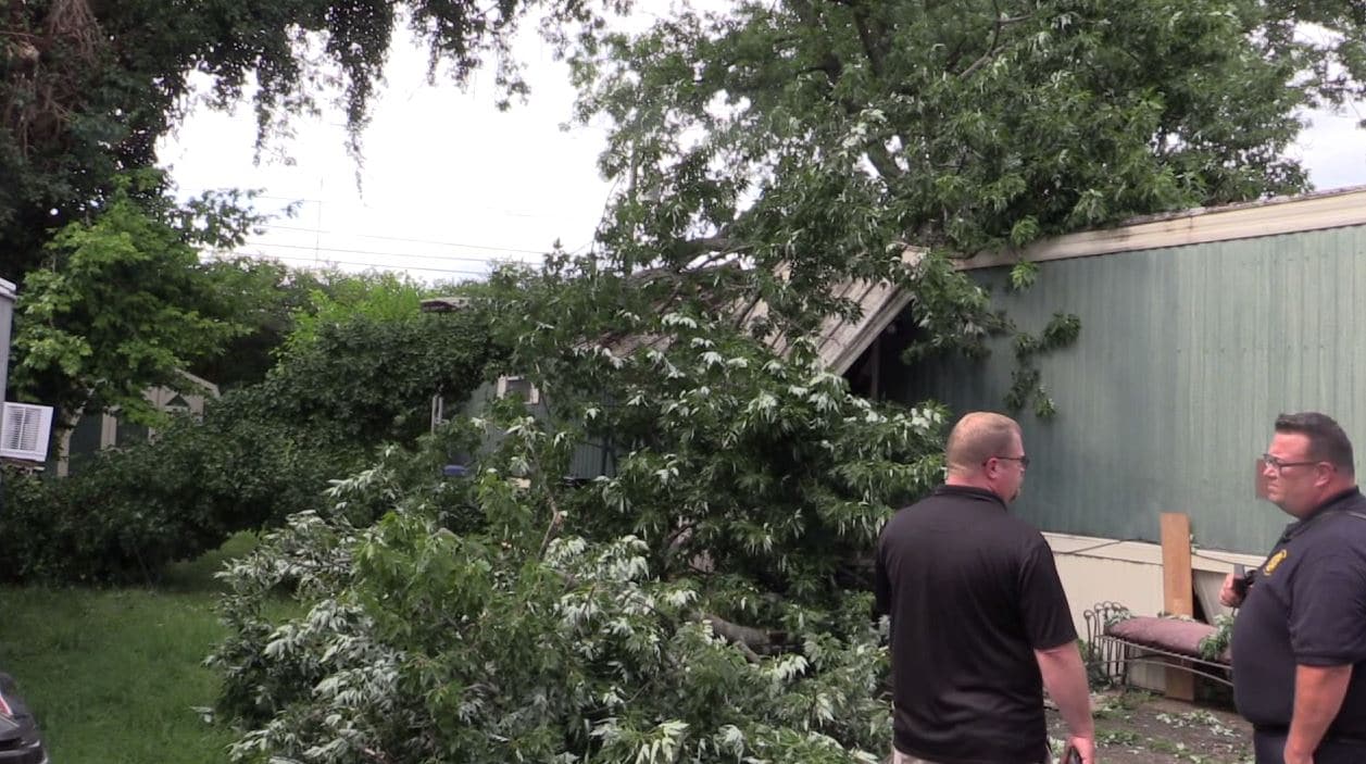 Tree branch falls on Lexington home damaging roof - WTVQ