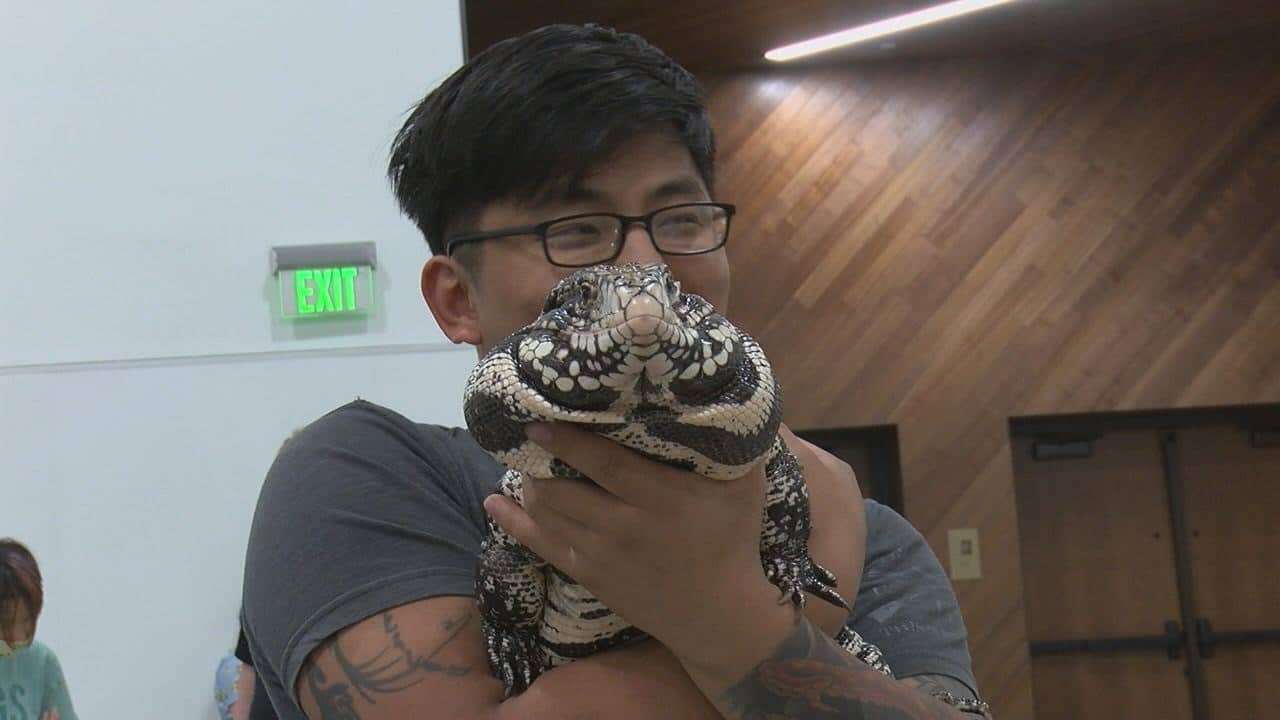 Kentucky Reptile Exposition returns ABC 36 News