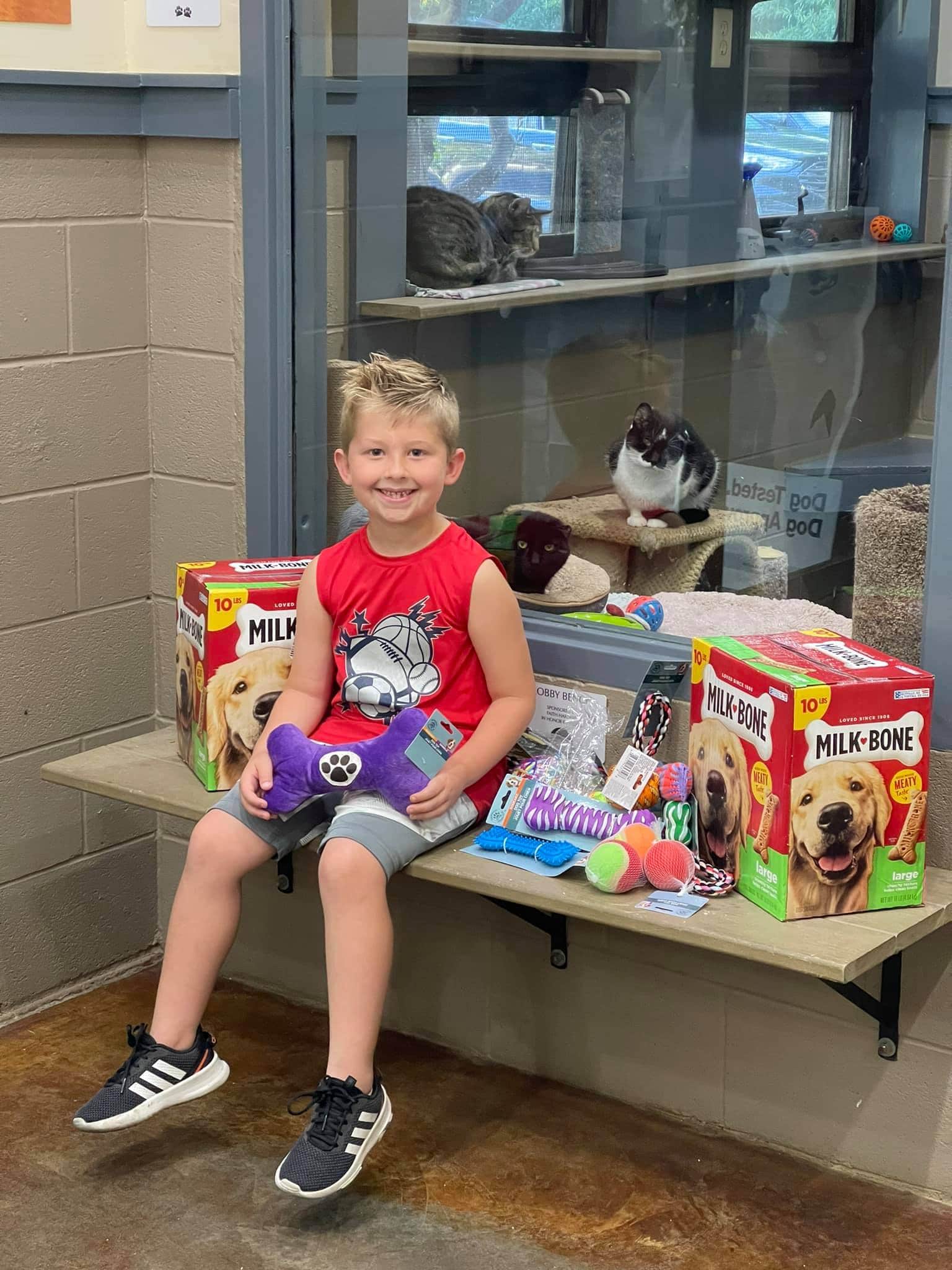 Kid holds lemonade fundraiser to help Woodford Humane Society ABC 36 News