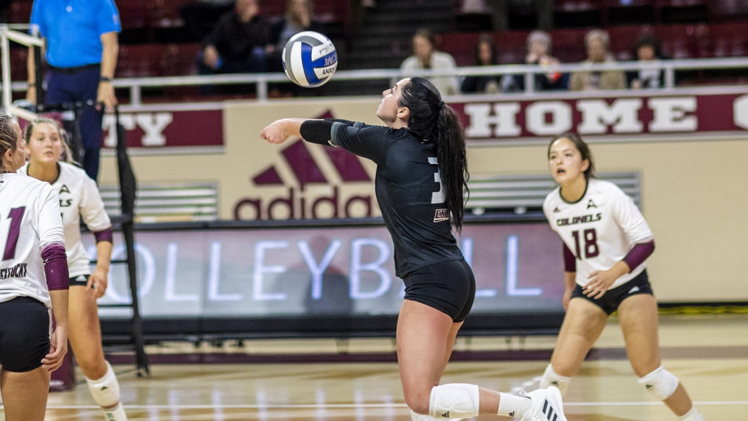 UK, EKU players win conference volleyball honors ABC 36 News