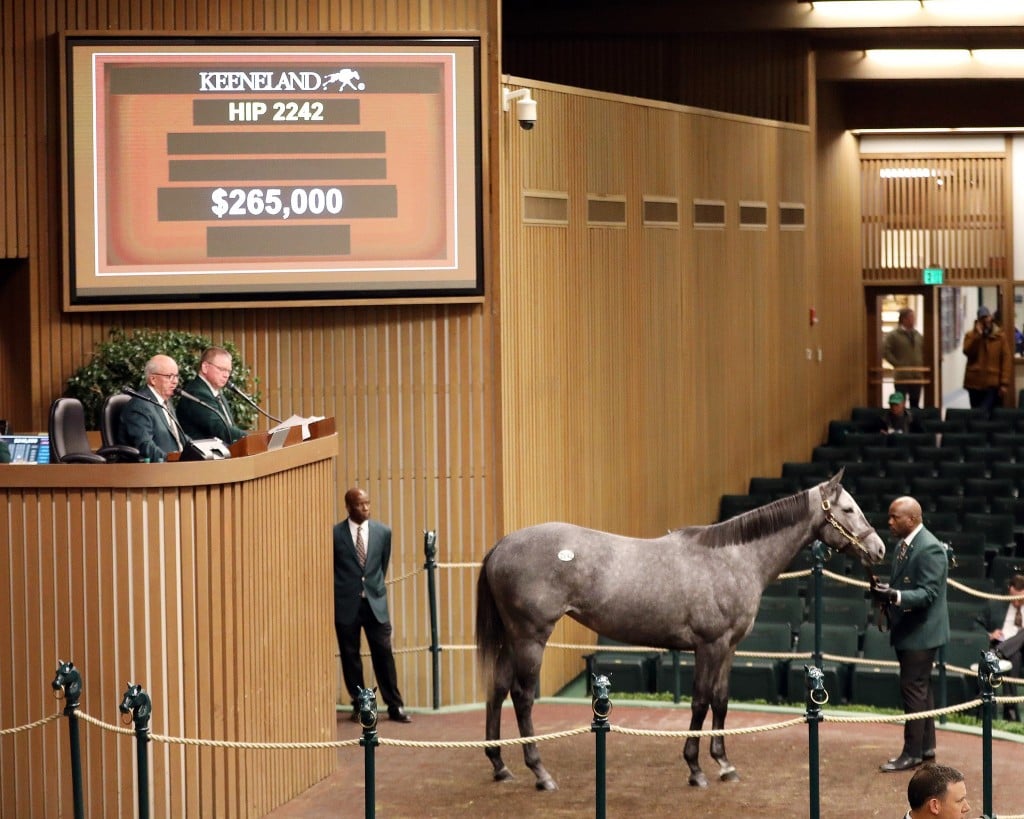 Keeneland November Breeding Stock Sale 11 15 21 Pop A Choc