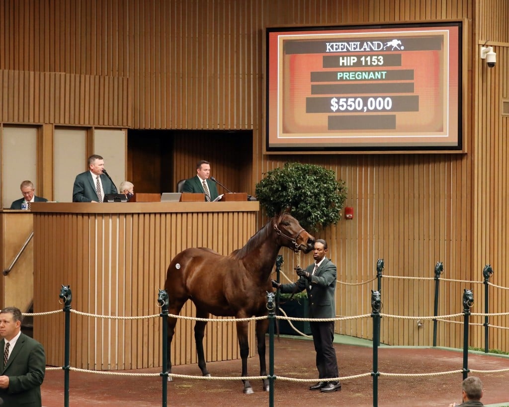 Keeneland Hip 1153 Belle Street 550000