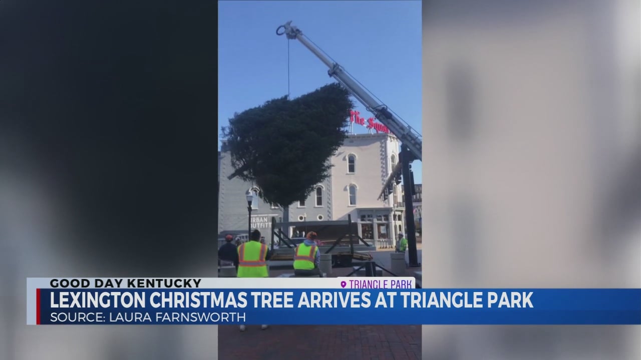 Lexington Christmas tree arrives at Triangle Park ABC 36 News