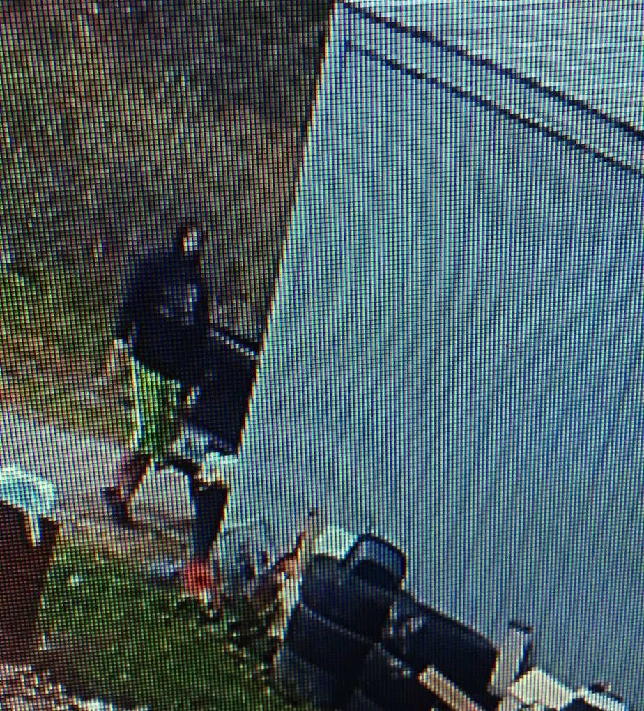 110221 Laurel Suspects 2