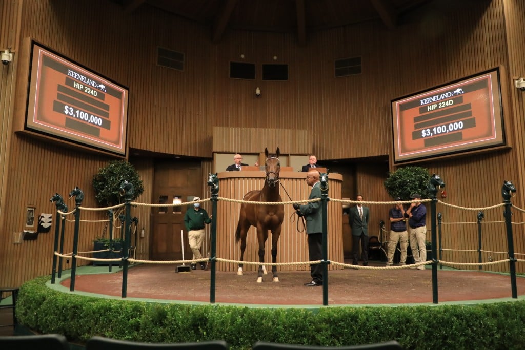 Paris Lights Sells Keeneland 11 10 21