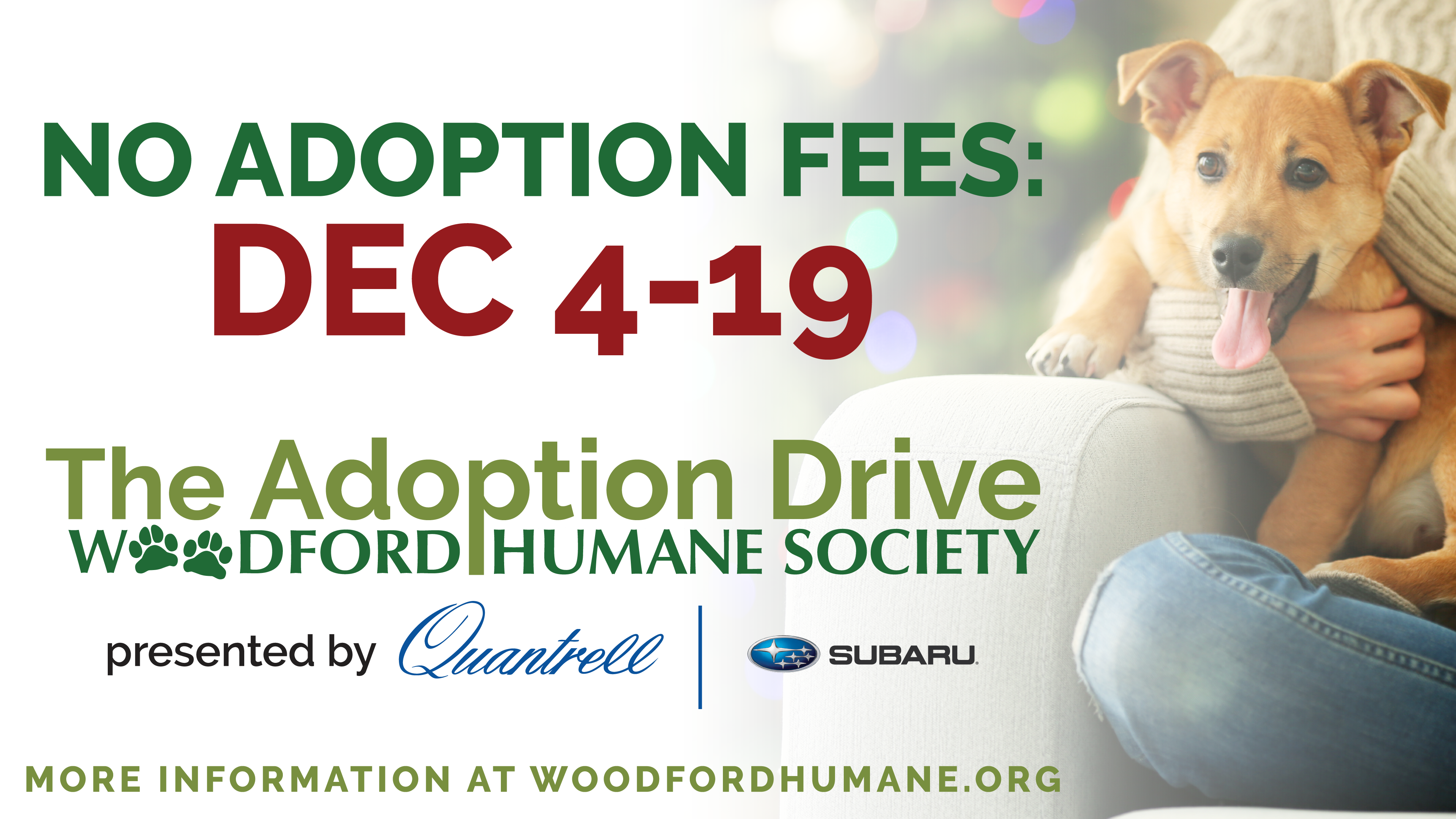 Zero Fee Adoption Drive Begins At Woodford Humane Society Abc 36 News